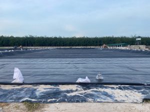 Bạt lót hồ chứa nước nuôi tôm cá HDPE ở Bù Gia Mập