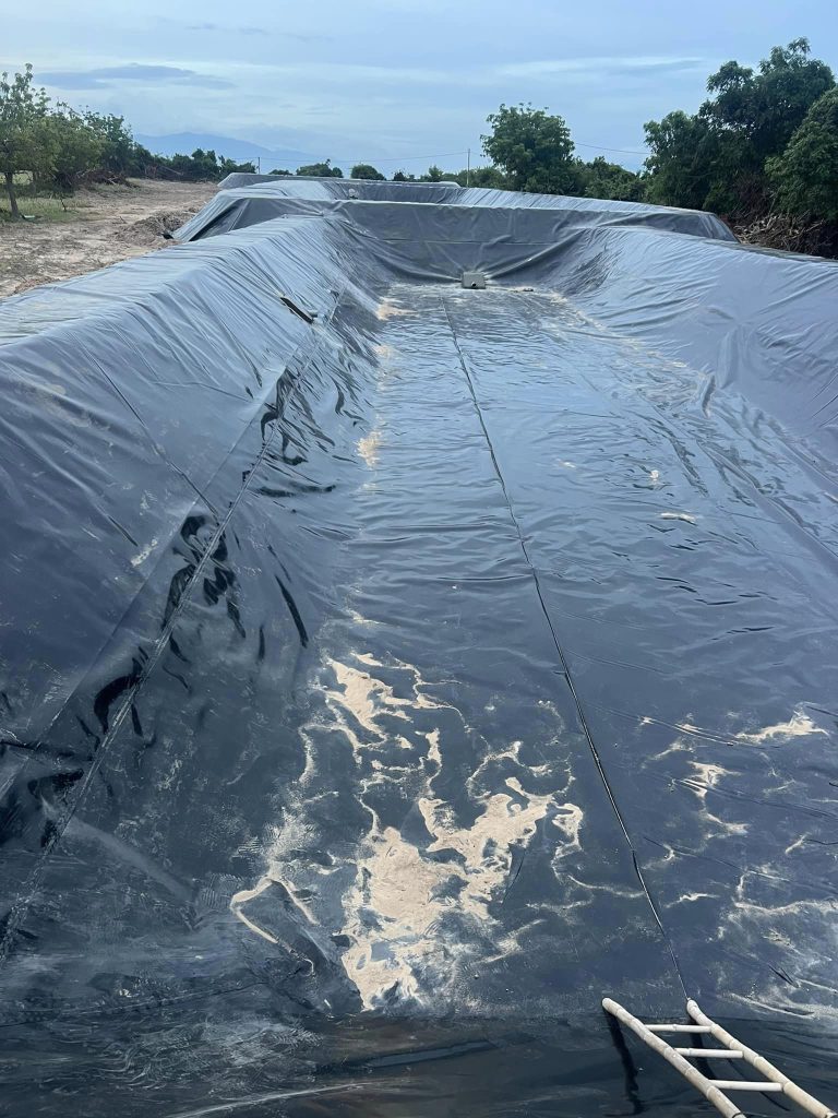 Bạt lót ao hồ HDPE chứa nước nuôi tôm cá ở Hớn Quản