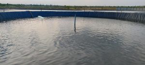 Bạt lót hồ chứa nước nuôi tôm cá HDPE ở Đà Nẵng