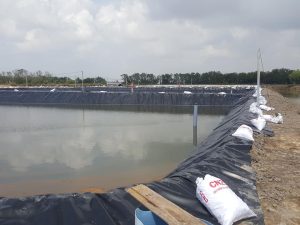 Bạt lót ao hồ HDPE chứa nước nuôi tôm cá ở Hớn Quản