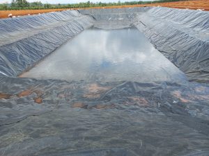 Bạt lót hồ chứa nước nuôi tôm cá HDPE