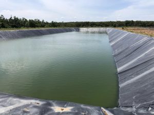 Bạt lót hồ chứa nước nuôi tôm cá HDPE ở Sóc Trăng