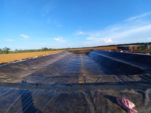 Bạt lót ao hồ HDPE chứa nước nuôi tôm cá ở Gia Lai