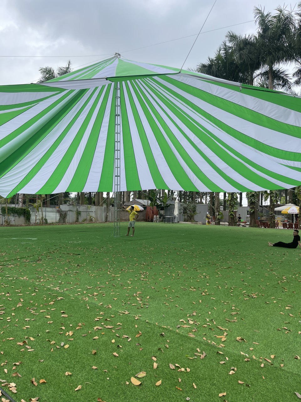 Dù che nắng sự kiện sân trường học ở Đà Nẵng Dù che nắng sự kiện sân trường học ở Đà Nẵng